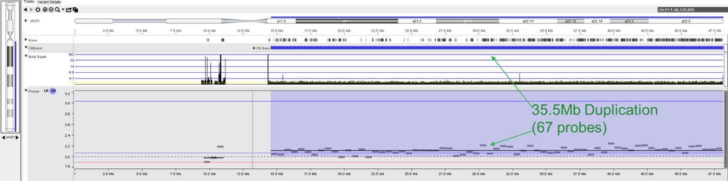 Difference Between Cnv Signature From Sigprofilerassignment And - Stunning Space Art - Mobile